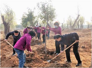 春回大地催新綠 植樹造林正當時     中公監(jiān)理組織職工開展義務植樹活動